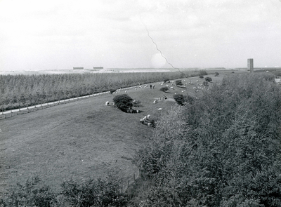OV_HEINDIJK_52 Dijk langs het Brielse Meer met uitzicht op het Stenen Baken; Mei 1962
