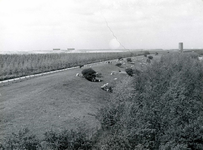 OV_HEINDIJK_52 Dijk langs het Brielse Meer met uitzicht op het Stenen Baken; Mei 1962