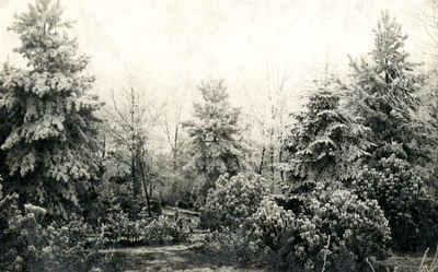 OV_KOLONIEHUIS_03 De tuin achter het koloniehuis Ons Genoegen; ca. 1930