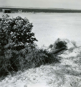 OV_KRUININGERGORS_37 Strand Oostvoorne nabij het Kruininger Gors; 12 juli 1951