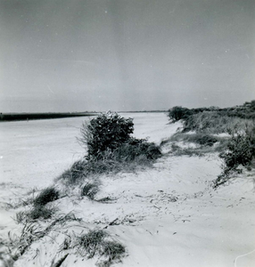 OV_KRUININGERGORS_39 Strand Oostvoorne nabij het Kruininger Gors; 12 juli 1951