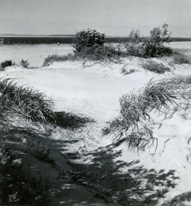 OV_KRUININGERGORS_40 Strand Oostvoorne nabij het Kruininger Gors; 12 juli 1951