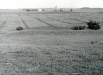 OV_OOSTERLANDSEWEG_02 Polder Oosterland; 1961