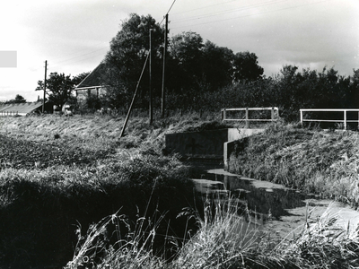 OV_RIETDIJK_04 De Rietdijk ter hoogte van de Dwarsweg; ca. 1960