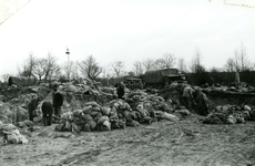 OV_WATERSNOODRAMP_013 Zandzakken vullen op de zanderij aan de Berkenrijsweg; 2 februari 1953