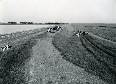 OH_ZEEDIJK_26 Kijkje over de Zeedijk; 1980