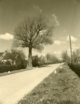 RO_BOOMWEG_01 Kijkje in de Boomweg; 1995