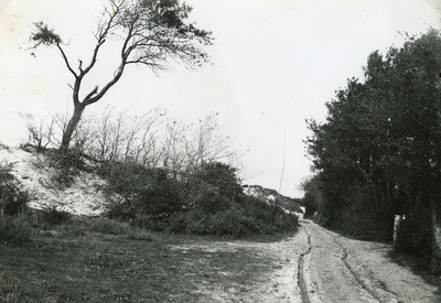 RO_DUINRAND_08 Duinrand met rechts het hek van de boerderij fam. van Kempen. (Verhagen); 1923