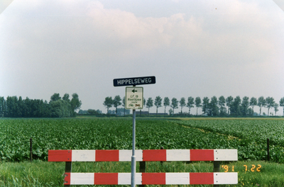 RO_HIPPELSEWEG_03 De Hippelseweg, gezien vanaf de Voet- of Kraagweg. Op de Achtergrond de Zwartedijk; 1991