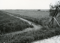 RO_MERREVLIETSEWEG_03 Toegang tot het Merrevliet vanaf de Merrevlietseweg: de voormalige vuilstortplaats; ca. 1970