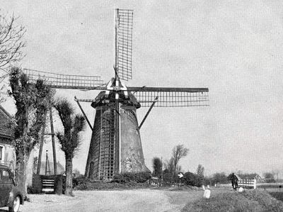 RO_MOLENDIJK_19 De molen van Rockanje gezien vanaf de westzijde, met links het molenaarshuis; ca. 1950
