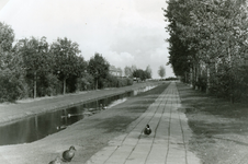 RO_OUDEWEG_01 Het voetpad langs de singel van de voormalige Oudeweg, vanaf de Jupiterlaan naar de Middeldijk; April 1975