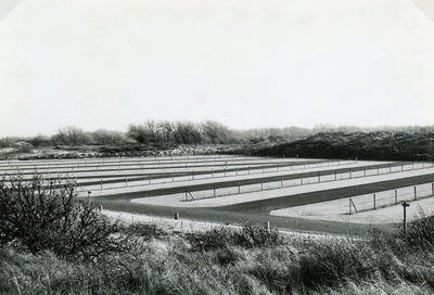 RO_TWEEDESLAG_24 Het nieuwe parkeerterrein aan de Tweede Slag; Juli 1956