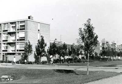 SP_CAMPANULASTRAAT_001 Woningen langs de Campanulastraat; 1970