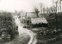 SP_GRIENDWERKEN_001 Schelven griendhout en riet bij het erf van de boerderij 'Den Bol' van Biesheuvel op de Welplaat; ...