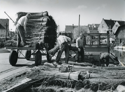 SP_GRIENDWERKEN_016 Het lossen van het griendhout in de haven; ca. 1950