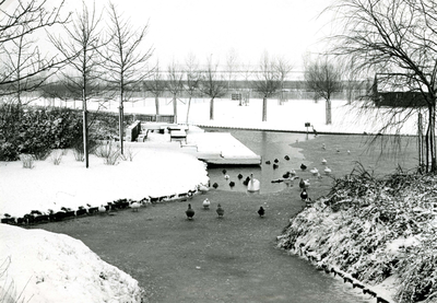SP_KINDERBOERDERIJ_019 De kinderboerderij De Trotse Pauw in de sneeuw tijdens de winter; Februari 1978