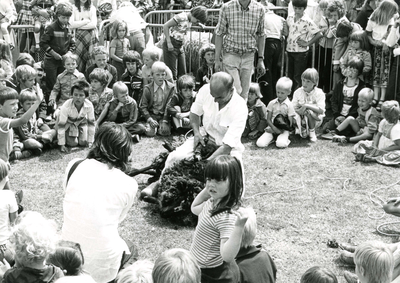 SP_KINDERBOERDERIJ_023 Demonstratie schapen scheren bij de kinderboerderij De Trotse Pauw; 1978