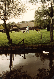 SP_KINDERBOERDERIJ_028 Kinderen voeren de geiten op de kinderboerderij De Trotse Pauw; 1989