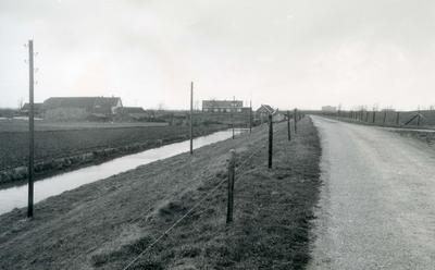 SP_KORTESCHENKELDIJK_025 Boerderij De Ruyterstee van Cor Hoorweg langs de Korte Schenkeldijk; 1960