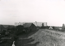 SP_LANGESCHENKELDIJK_011 Boerderij van Jn. Hoogenboom langs de Lange Schenkeldijk. Op de achtergrond de Marrewijkflat; 1965