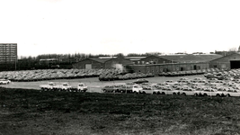 SP_LANGESCHENKELDIJK_029 Het terrein van P.L. Baris langs de Lange Schenkeldijk; 1977