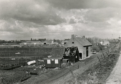 SP_MOLENDIJK_001 Boerderij langs de lange Schenkeldijk met op de achtergrond de loodsen van P. Baris; 1977
