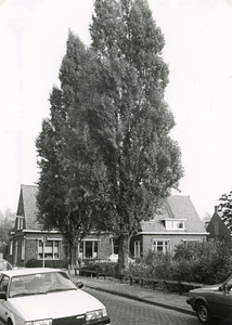 SP_MOLENLAAN_006 Woningen langs de Molenlaan; Oktober 1986