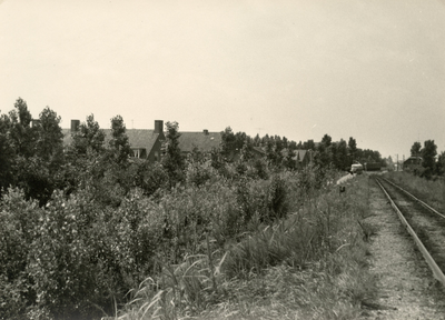 SP_MOLENPAD_014 Impressie van de beplanting langs het Molenpad: de tramdijk met rails; 1958