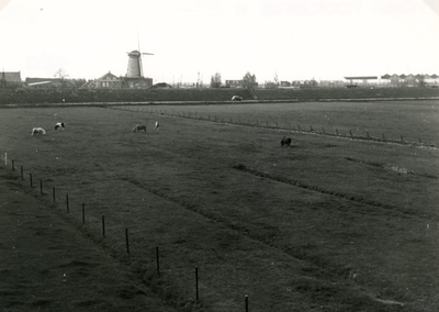 SP_MOLEN_016 De molen Nooitgedacht, gezien vanuit de polder Hongerland; 1962