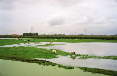 SP_WATEROVERLAST_011 Hoog water in de polder na overvloedige regenval; September 1998