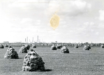 SP_WELPLAAT_034 De polder met op de achtergrond de ESSO raffinaderij op de voormalige Welplaat; 22 september 1961