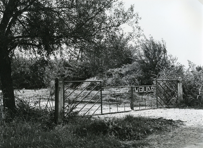 TI_WOUDSEWEG_001 Damhek van de voormalige boerderij Hooger Woude . ; 18 september 1984