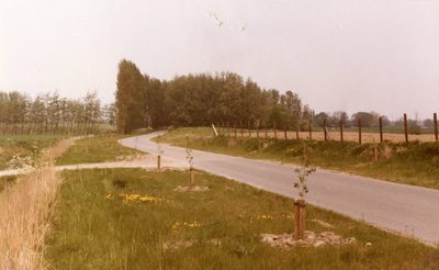 VP_RIJSWAARDSEDIJK_003 De Rijswaardsedijk gezien in de richting Zwartewaal; ca. 1980