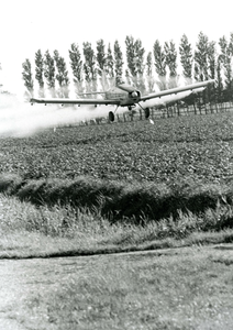 ZL_DWARSWEG_03 Met een vliegtuig wordt gif gespoten over een akker in de polder van Zuidland; ca. 1990