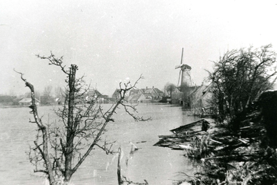 ZL_WATERSNOODRAMP_015 Zuidland, gezien vanaf de Drogendijk; 1 februari 1953