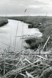 ZL_ZEEDIJK_08 Beningerslikken, een rustig plekje; 6 februari 1974