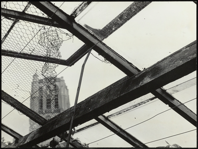 FOTO_GF_C123 Kijkje op de toren van de St. Catharijnekerk vanuit de kas van P. Stolk; ca. 1962