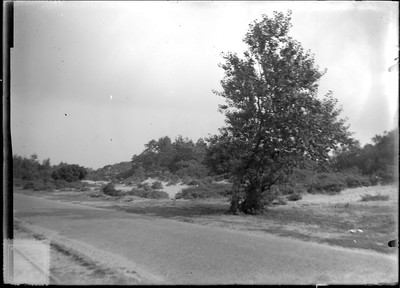 GN2355 Duinlandschap; ca. 1925