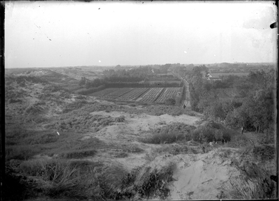GN2414 Tuinderij in de duinen; ca. 1925