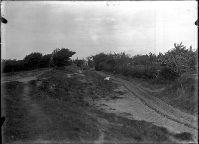 GN2440 Duinlandschap met boerderijtje; ca. 1925