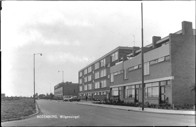 GN2498 Kijkje in de Wilgensingel; ca. 1960