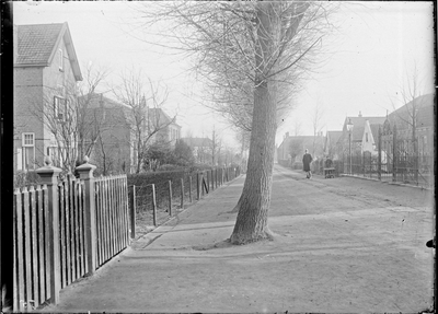 GN2733 De boomgroep vanaf het huis de Lange tot gebroeders Assenberg; ca. 1910