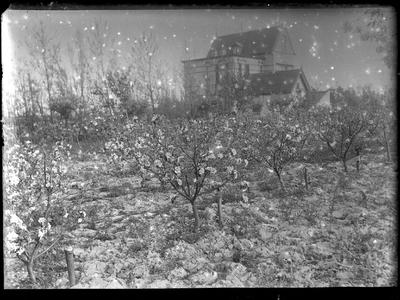 GN3085 De tuin achter Villa Anna in bloei; ca. 1915