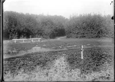 GN5099 De vijver in het Rondeweibos met in het midden het beeld het zogeheten Vissenhoofd ; ca. 1920