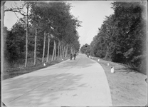 GN5124 Kijkje op de Heveringseweg; ca. 1920