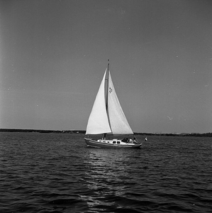 C1101 Zeilen op het Brielse Meer; 9 september 1959