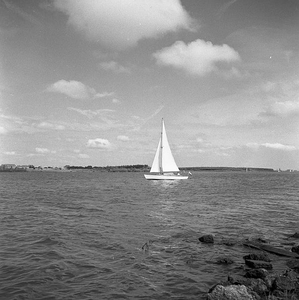 C1110 Zeilen op het Brielse Meer; 18 augustus 1960
