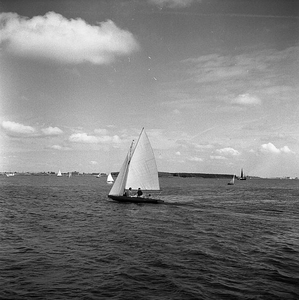 C1111 Zeilen op het Brielse Meer; 18 augustus 1960