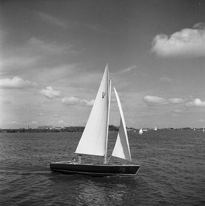 C1112 Zeilen op het Brielse Meer; 18 augustus 1960